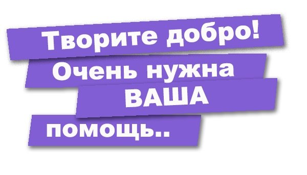 06f043ffffd23b7ac757c6a414ff26c9.jpg
