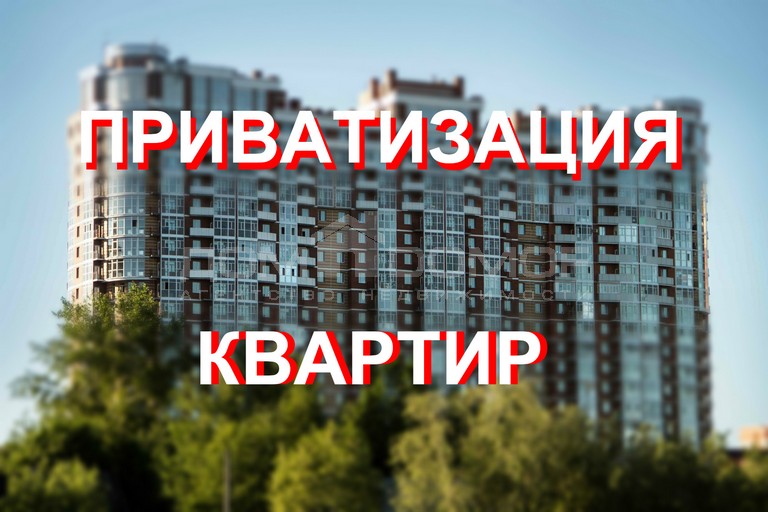 приватиз.jpeg