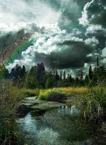 0_8216c_c679ce34_L.gif
