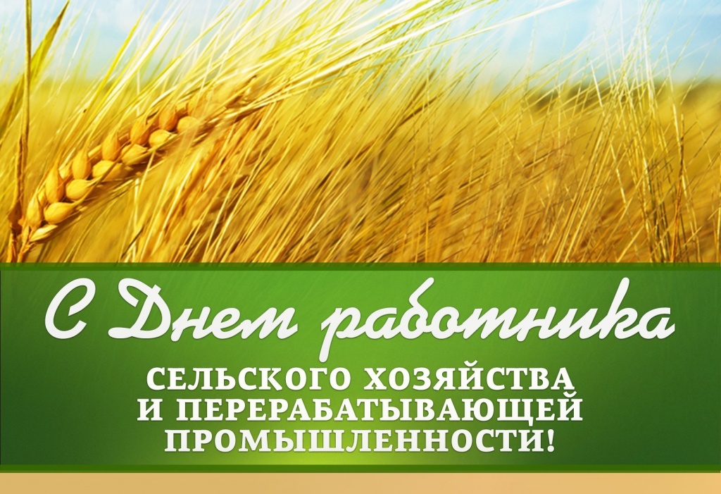 сельское.jpg