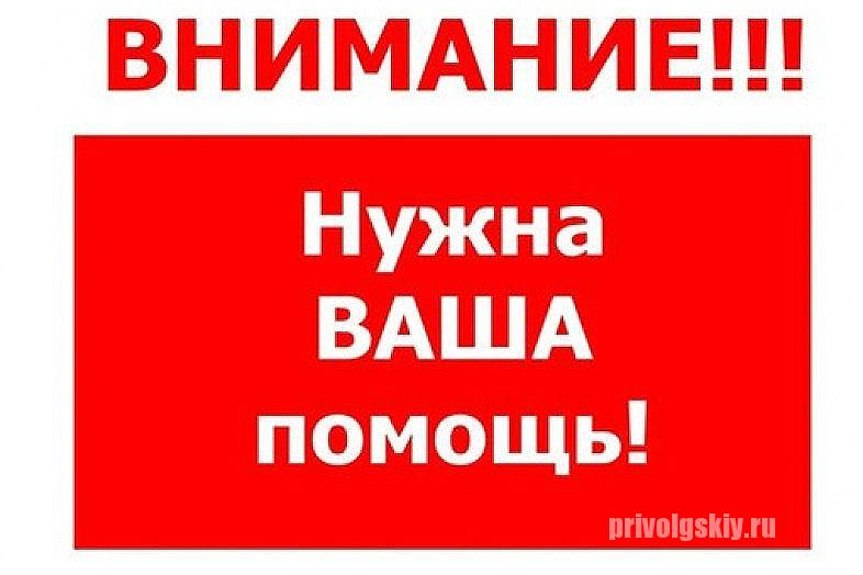пом.jpg