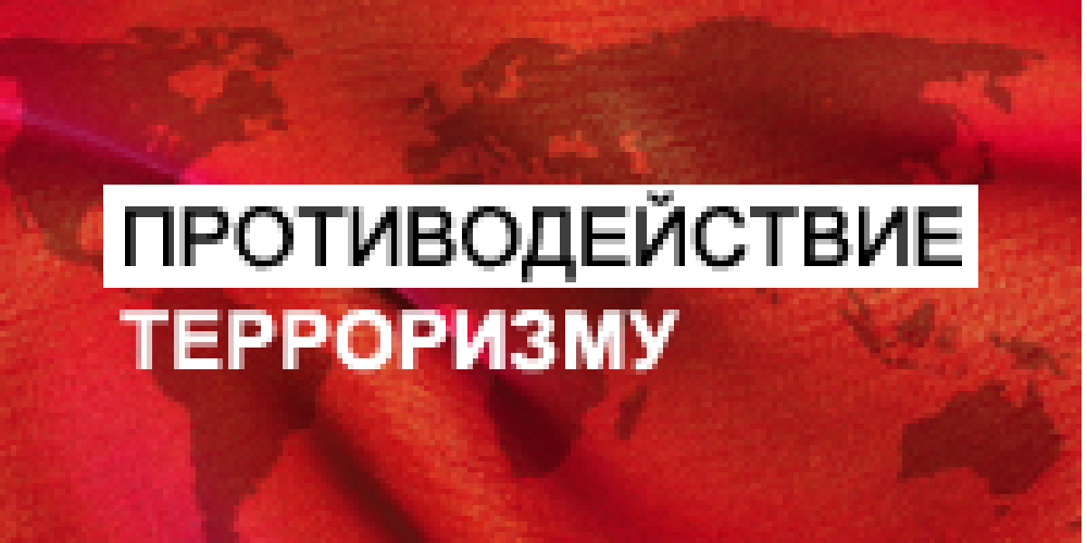 tn_193264_72b6ab37703a4.png