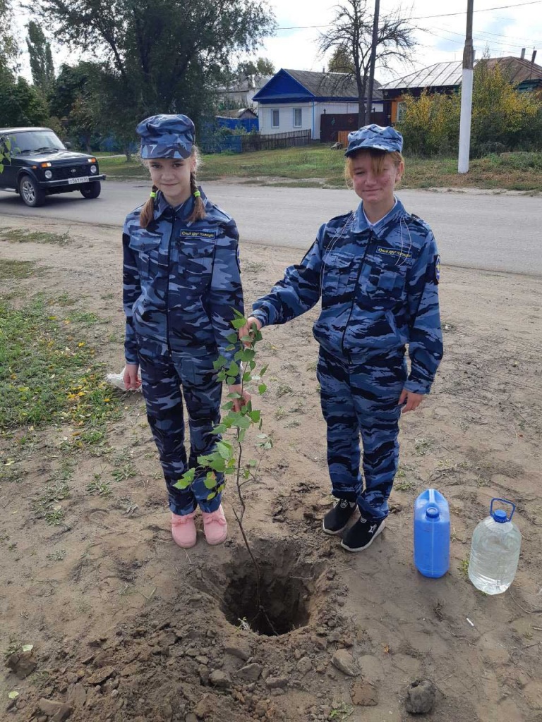 лес 2.jpg