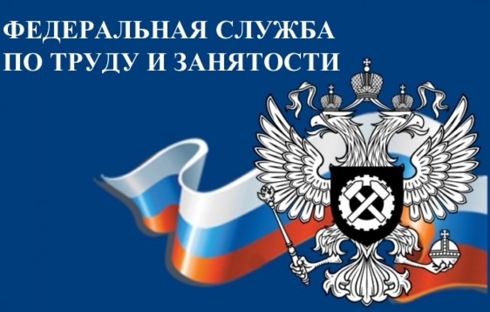 труд и занятость.jpeg