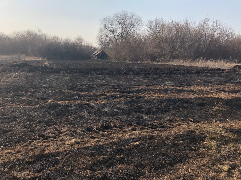 image0.jpeg image0.jpeg