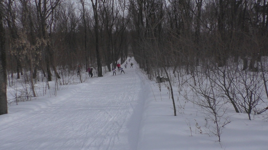 S1300028.JPG