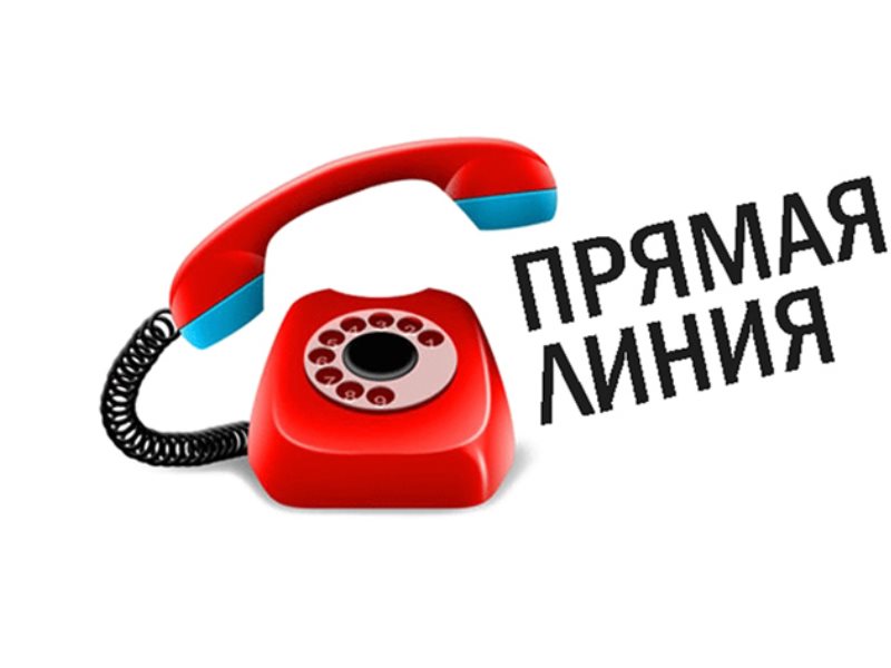 прямая линия.jpg