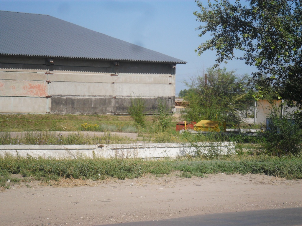 8.JPG