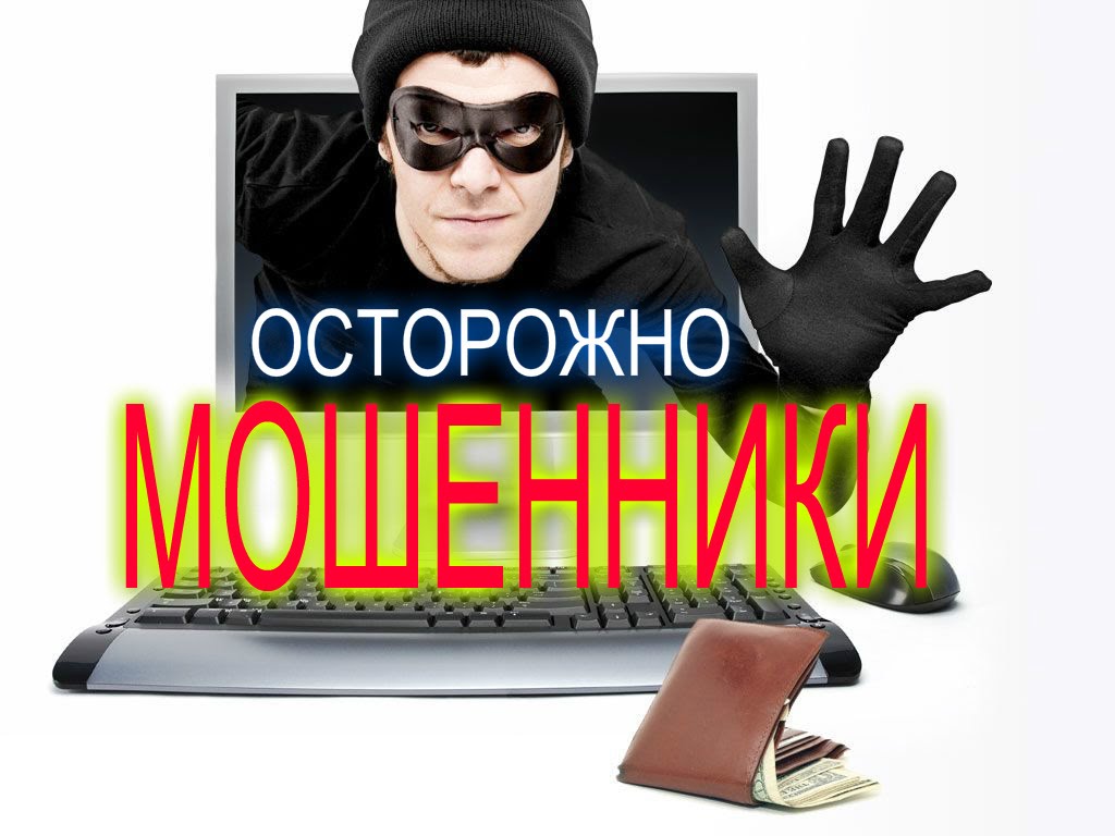 мошенники.jpg