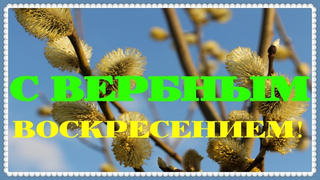 вербное.jpg