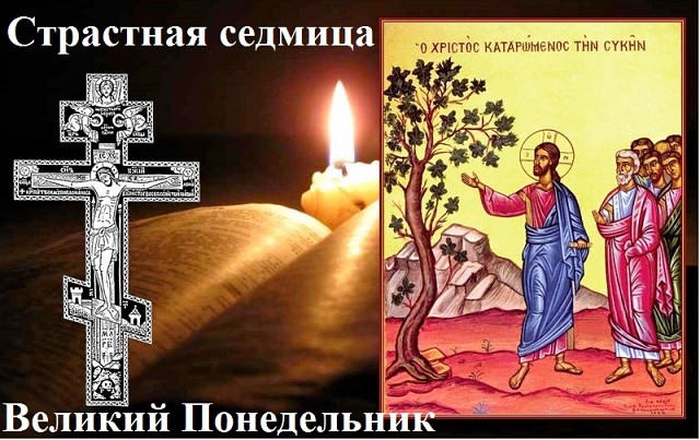седмица.jpg