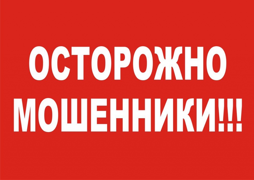 мошенники.jpg