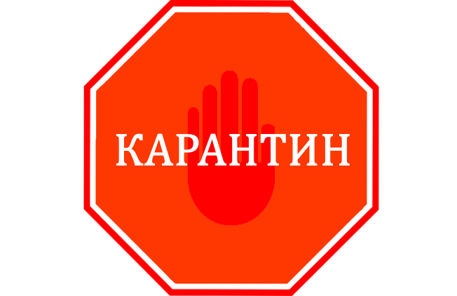 карантин.png
