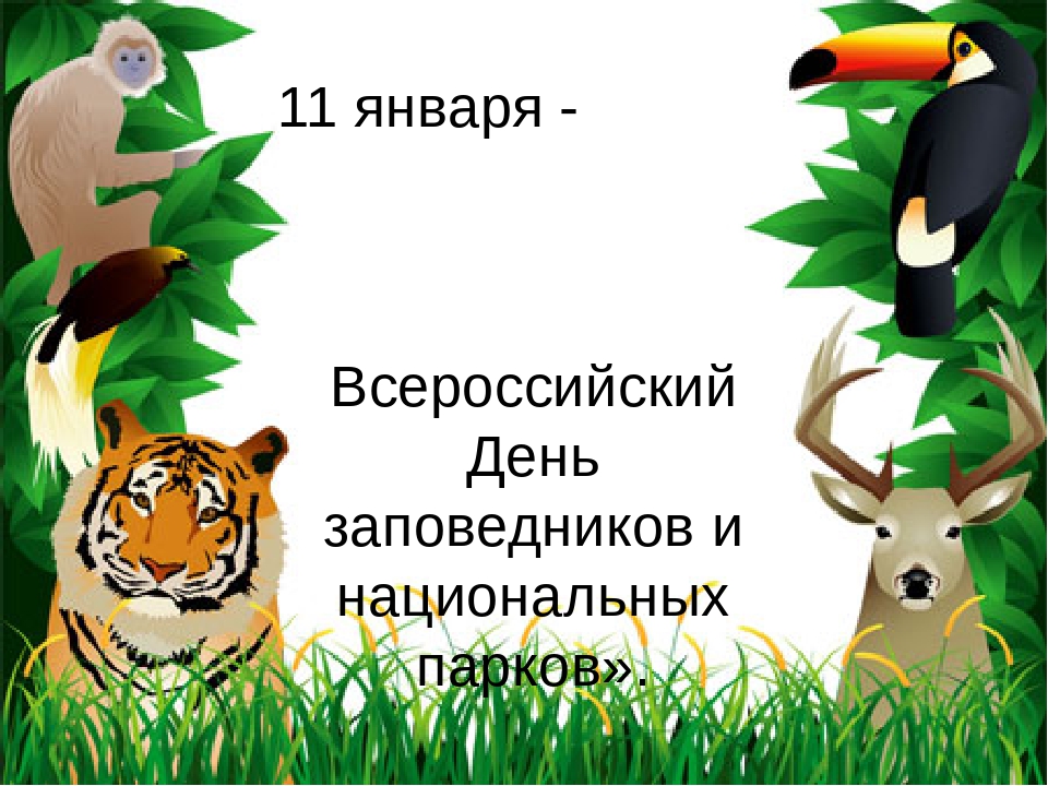 парк.jpg