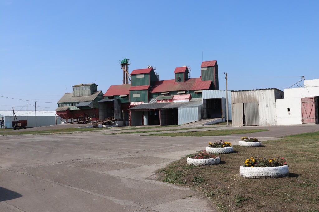 19.JPG